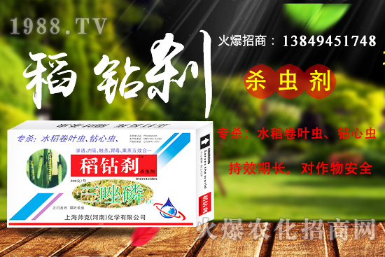 水稻鉆心蟲(chóng)抗性嚴(yán)重，該如何防治？ “稻鉆剎”教您如何消滅！