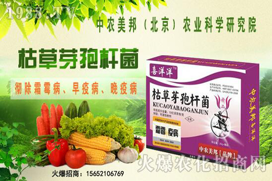 �ݲ�ѿ�ߗU���θ���������������Щ�������������Ό�(du��)������Щ��