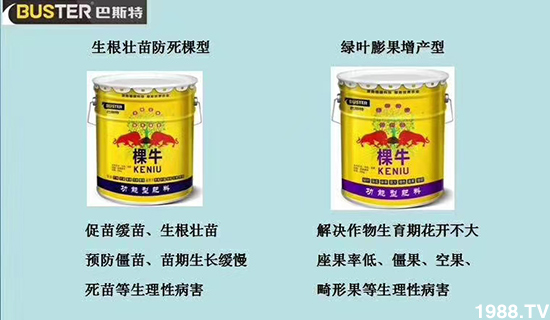     ���׌�Nֲ׃�ø��p����һ���ײ���ȫ���䷽����˹�ش󽪠I�B(y��ng)�ײͷ�����