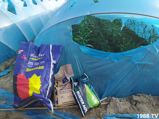     ���׌�Nֲ׃�ø��p����һ���ײ���ȫ���䷽����˹�ش󽪠I�B(y��ng)�ײͷ�����