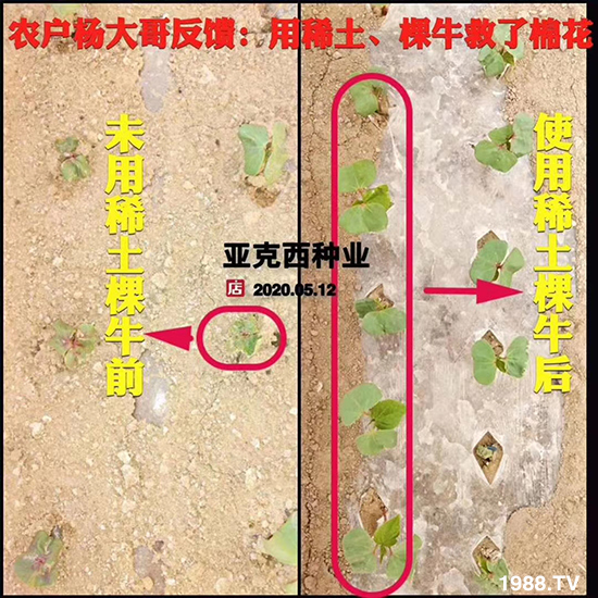     ���׌�Nֲ׃�ø��p����һ���ײ���ȫ���䷽����˹�ش󽪠I�B(y��ng)�ײͷ�����