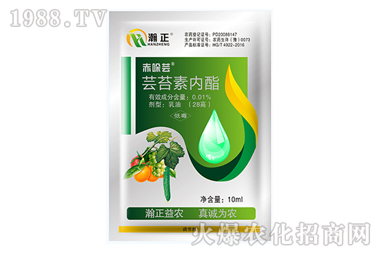 �|̦�؃�(n��i)����ʲô��(y��u)��(sh��)���|̦�؃�(n��i)����(f��)�䷽������Щ��