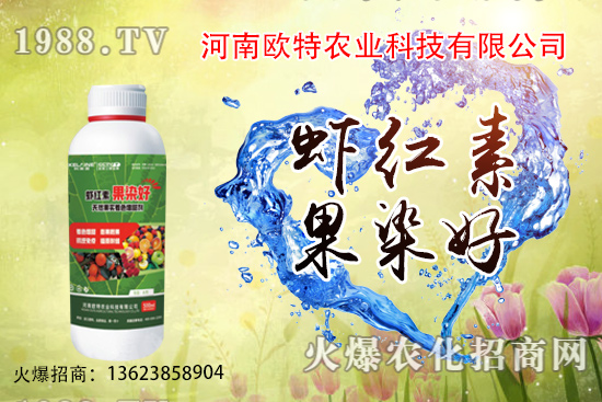  草莓苗品種如何選擇，怎么提高草莓苗種植成活率？