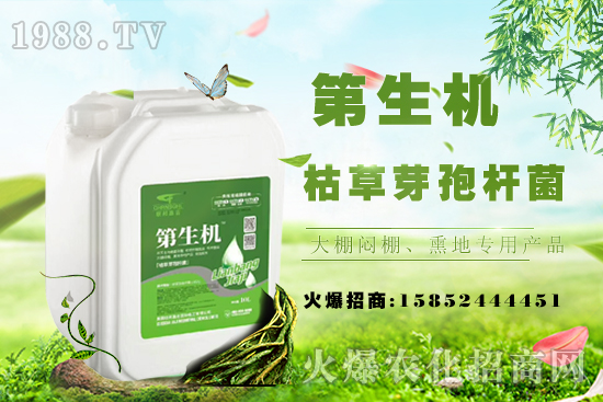 豆角只長蔓不開花啥原因？如何促花促莢提產(chǎn)量？