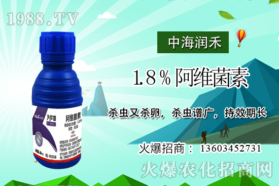 斜紋夜蛾高發(fā)期，防治工作迫在眉睫！斜紋夜蛾如何用藥？