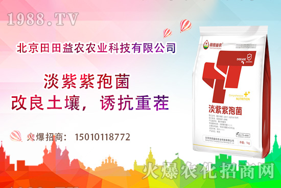 西紅柿需肥特點(diǎn)有哪些，西紅柿夏季如何管理？
