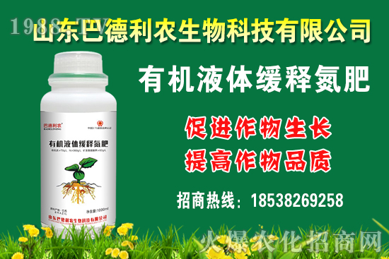 板栗多少錢(qián)一斤？種植前景如何？栗種植成本及利潤(rùn)分析！