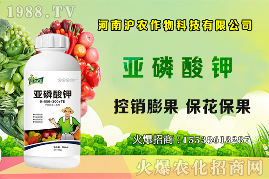 大蔥育苗要點(diǎn)你知道嗎？大蔥常見(jiàn)病蟲害有哪些？如何防治？