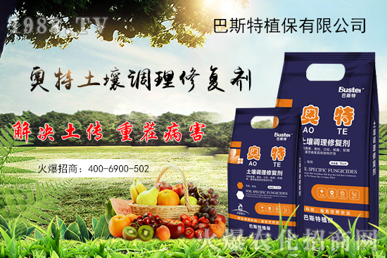 秋白菜怎么種植？秋白菜種植要點及苗期管理！