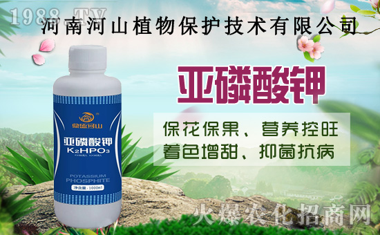 小麥政策加碼！扎堆賣糧！2020年8月14日小麥價(jià)格行情！