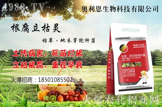 �S����ʲô����(ji��)�������S���˷Nֲ������B��