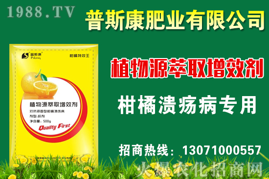 ���ןo�������༼�gҪ�c�����ײ��՘˜ʼ�������