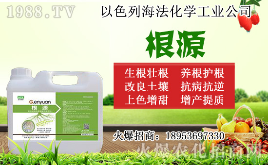 無花果怎么扦插？無花果扦插時間及扦插繁殖方法！