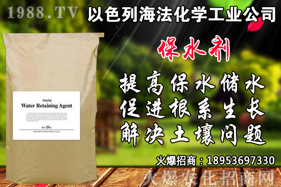 芹菜如何種植？品種如何選擇？芹菜播種時間及種植技術(shù)！