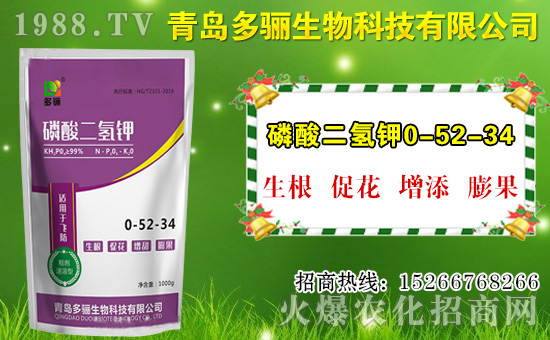 山竹作用與功效有哪些？如何挑選山竹？