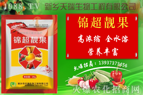 香菇栽培技術(shù)有哪些，秋季香菇管理要點詳解！