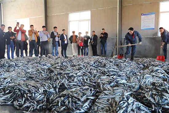 �~����ԭ��