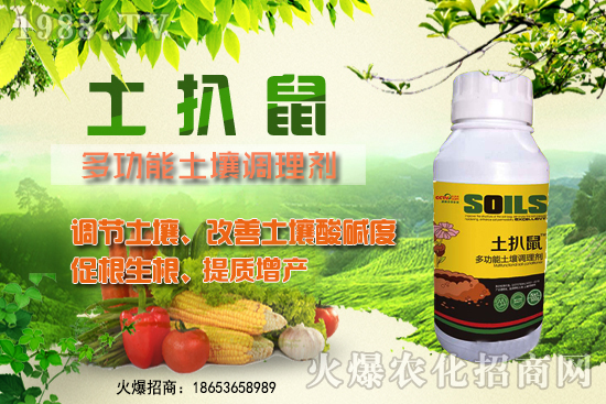 檳榔苗什么時(shí)候種植？檳榔苗怎么選？種植深度怎么算？