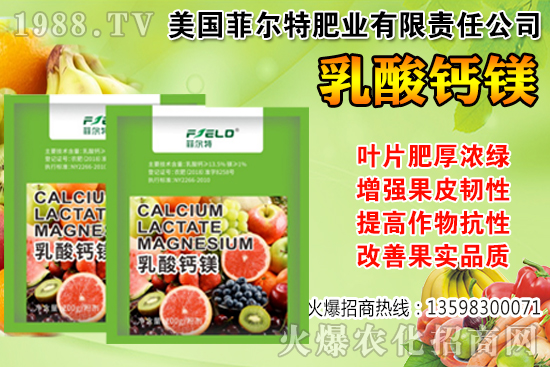 ���Ѳ��պ���α��r�����Ѳ��պ���@ע�������