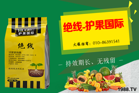 �Ә����L�l������Щ���Ә�����������g(sh��)��