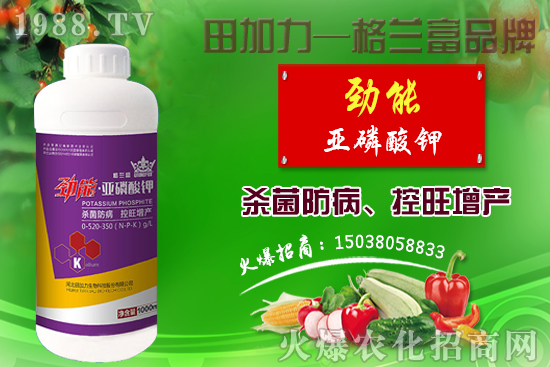 棉花如何做到合理施肥？棉花需肥特性及施肥原則！