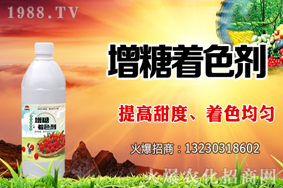 火龍果澆水過多有什么影響，火龍果澆水方法及澆水量！