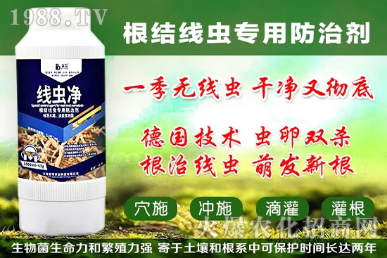 �������״���ʲô���ã��������״���������x����