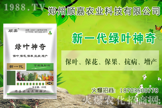 С���r(ji��)���B�B�ϝq���F(xi��n)��һ������X��