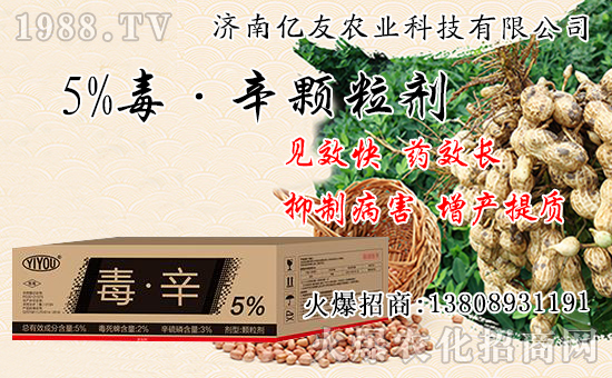 �������Ժʹ�����ʲô��ͬ���������԰˴��P(gu��n)�IҪ�c(di��n)��