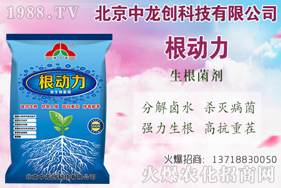 ���}���������������Щ�����}��ʩ�ʼ��g(sh��)Ҫ�c(di��n)��