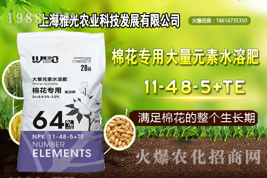 甜椒什么時候種植，甜椒栽培技術要點！