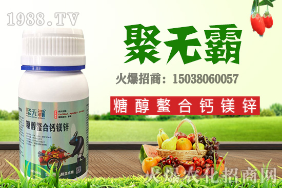 沙糖桔苗多少錢一棵？沙糖桔什么時(shí)候結(jié)果？栽培要點(diǎn)有哪些？