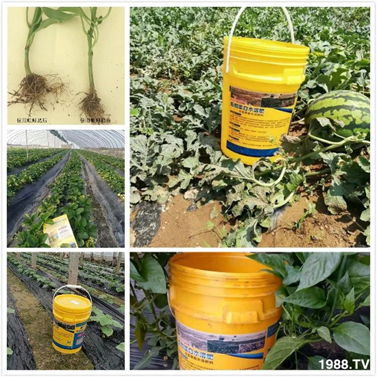 ˮ�ܷ��Ј���׃��������徫���~���׌�����������1000���Ñ��������]��