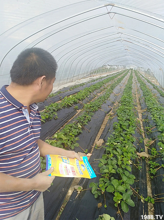 ˮ�ܷ��Ј���׃��������徫���~���׌�����������1000���Ñ��������]��