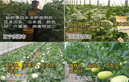 ˮ�ܷ��Ј���׃��������徫���~���׌�����������1000���Ñ��������]��