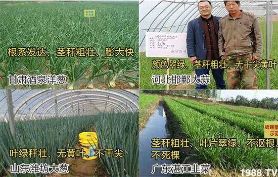 ˮ�ܷ��Ј���׃������徫���~���׌�����������1000���Ñ��������]��