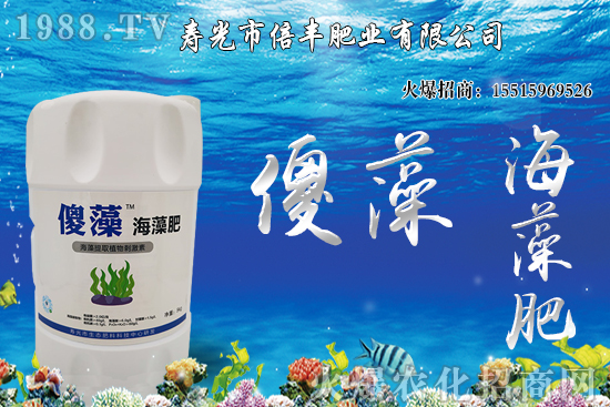 �Ј�(ch��ng)�𲽻ؚw���������棬�󶹃r(ji��)��_�߻�����