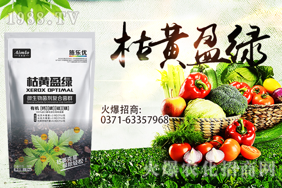 ʮ�¼������������r�ܝq������9��29��С���r���߄���