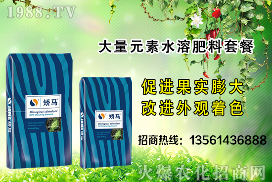 �＾����ʩ�ʵĺ�̎����Щ���＾����ʩ��ָ��(d��o)������