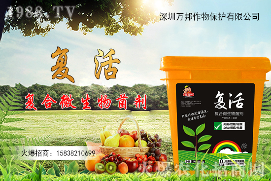 ���������ԷN������M(j��n)�й�������ʲô����Ҫ�c��