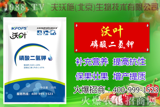 ���t��ժ�~����Щ��̎������ժ�~���g(sh��)��ע�����(xi��ng)��