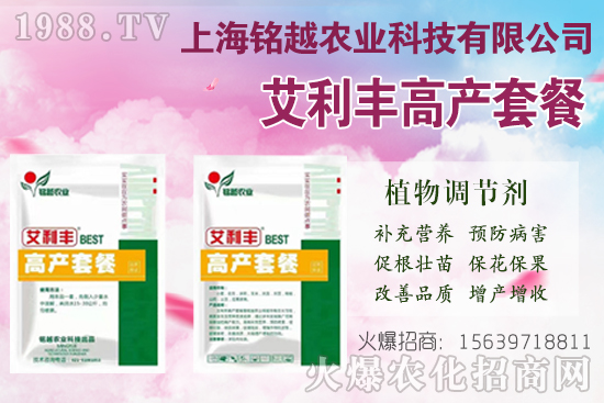 棉花吐絮是什么季節(jié)？常出現(xiàn)問題有哪些？棉花吐絮期管理要點！