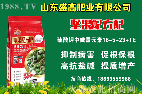 С���r(ji��)��߀Ҫ�ϝq����9��9�Շ�(gu��)��(n��i)С���r(ji��)��������