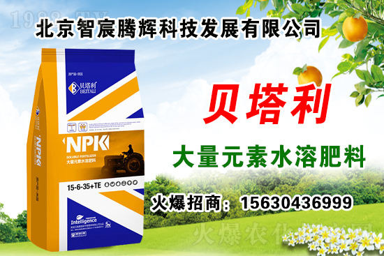 2020年種什么藥材能賺錢？種植藥材有補貼嗎？哪些藥材有種植前景？