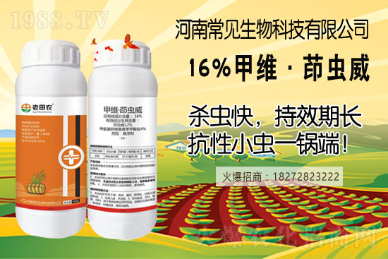 土豆幾月份種合適？（附如種植方法及田間管理）