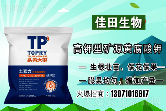 雪梨該怎樣種植？雪梨的種植時間和方法！