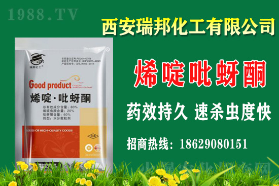 2021��2��20���ݚ��x���r(ji��)������