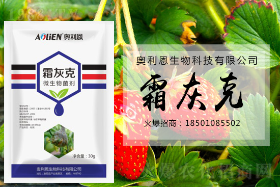 ������ݮ�װl(f��)��ù�����A(y��)����ʩ��ô����