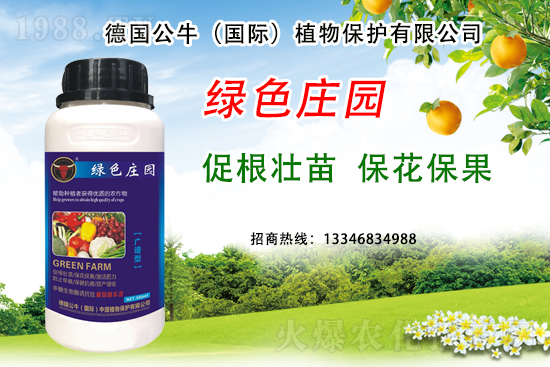 草莓著色不良到底是哪些原因？草莓著色不良又該如何避免？