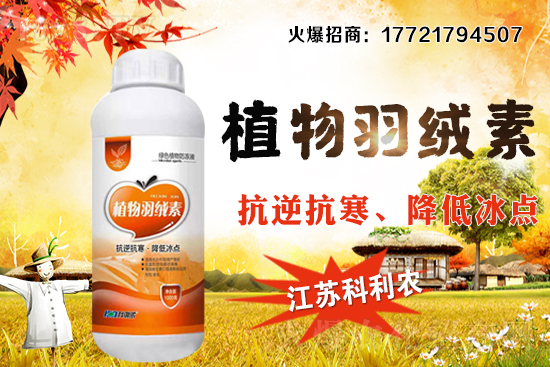 春玉米種植密度如何把握，春玉米施肥及中后期管理！